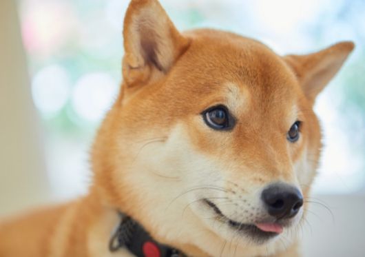 사진=게티이미지뱅크.