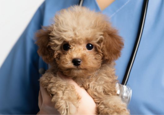 사진=게티이미지뱅크.