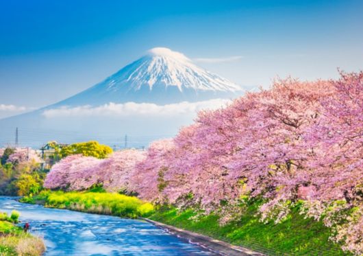 사진=게티이미지뱅크.