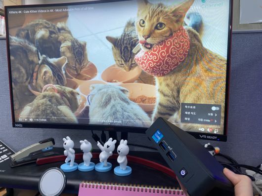 유튜브에서 4K 고양이 영상을 재생해보니 끊김 없이 매끄럽게 감상할 수 있었다.