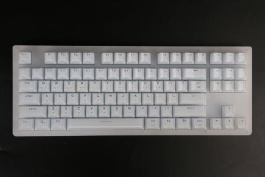 숫자 키를 없앤 87키 텐키리스 레이아웃을 지녔다.