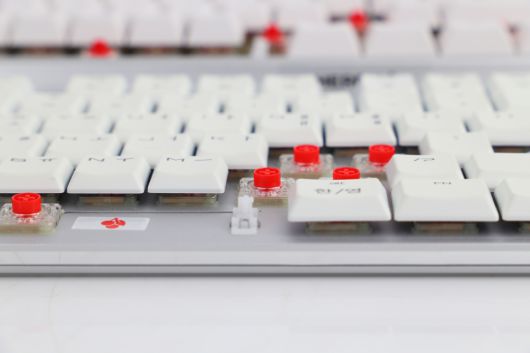 비키 스타일 키보드의 경우 키캡 아래가 완전히 평평한 보강판으로 이루어져 있다. 먼지 청소 등이 용이하고 디자인적 이점이 있지만 보강판에 의한 소음이 발생한다.