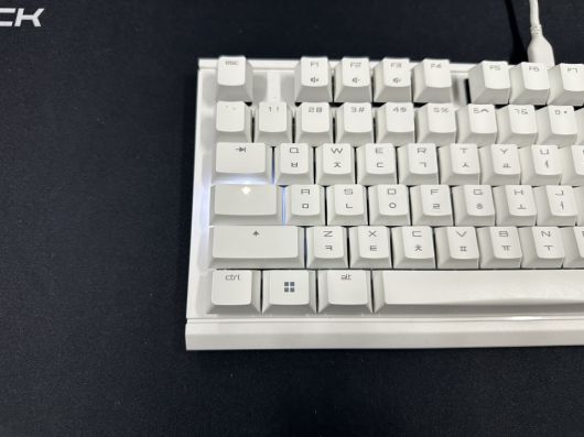 LED의 빛이 키캡을 투과해 보인다.