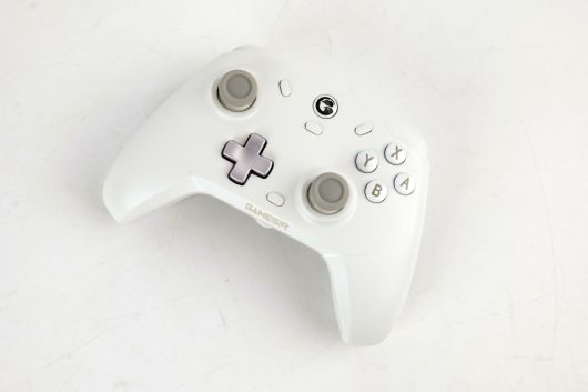 T4C는 닌텐도 스위치 프로 컨트롤러와 유사한 레이아웃을 품었다.