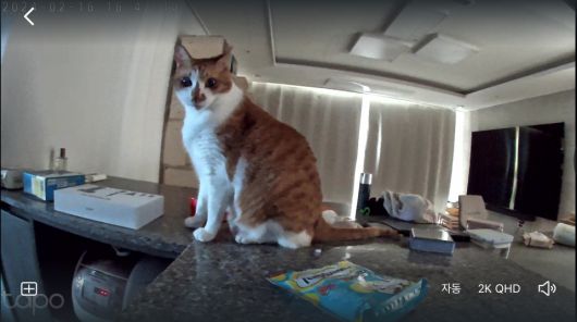 나이트 비전 기능을 통해 야간에도 뛰어난 화질을 구현한다.