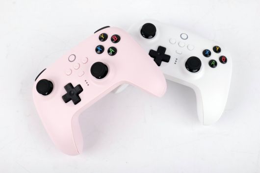 국내에는 현재 핑크와 화이트 컬러 두 종으로 정식 발매됐다.