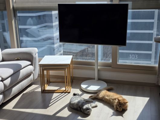 일체감 있는 화이트 컬러를 품은 덕분에 집안 어느 곳에 배치해도 조화롭게 어울렸다.