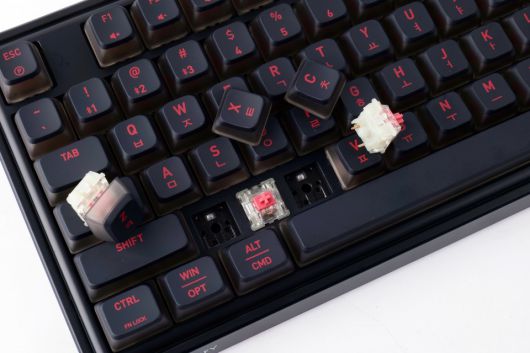 스위치 핫스왑도 가능하다.