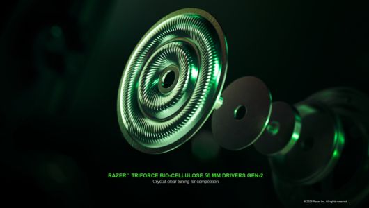 (이미지 출처: 레이저)