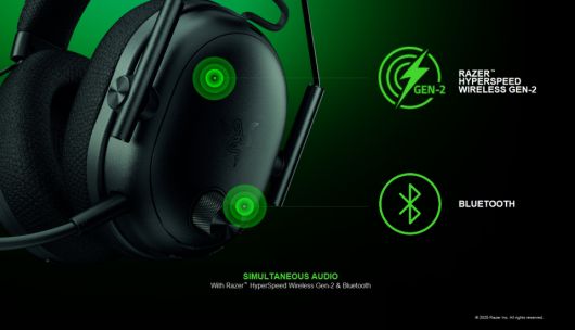 (이미지 출처: 레이저)