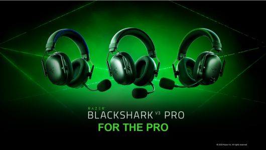 (이미지 출처: 레이저)