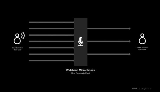 (이미지 출처: 레이저)