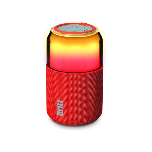 (이미지 출처: 브리츠 제공)