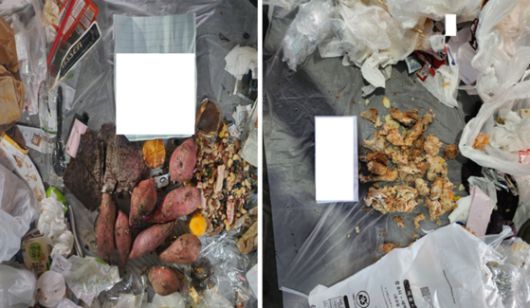 과거 강동구가 단속한 음식물 혼합 배출 사례. 최근 SNS에 올라온 사례와 다름 〈강동구청 제공〉