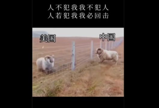 다이빙 주한중국대사가 11일 자신의 엑스(X·옛 트위터) 계정에 올린 영상. 〈사진=엑스 캡처〉