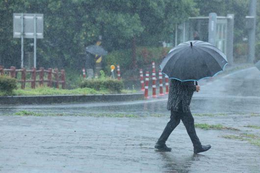 비가 내린 지난 22일 오전 제주 서귀포시 남원읍 하례리 입구에서 우산을 쓴 시민이 걸어가고 있다. 〈사진=연합뉴스〉