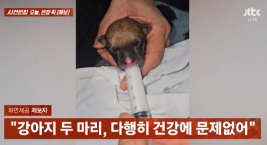 〈사진=JTBC '사건반장'〉