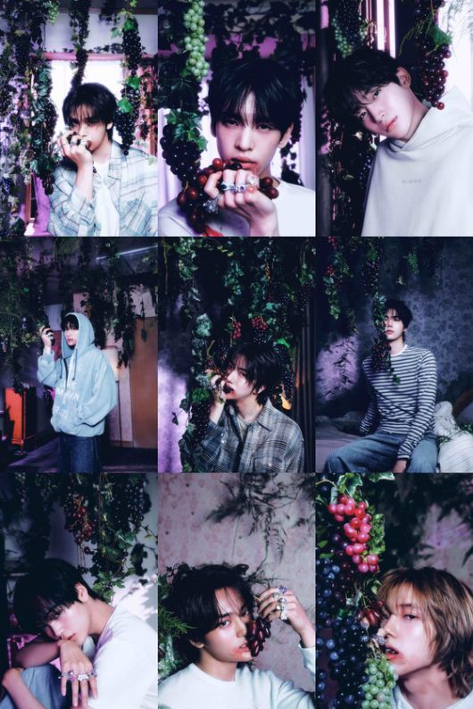 〈사진=스타쉽엔터테인먼트〉