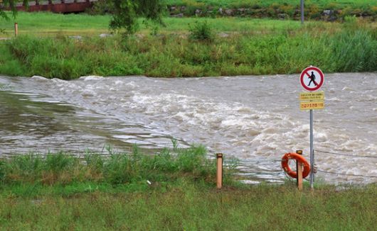 폭우가 쏟아진 지난 17일 오전 대전 갑천 수위가 점점 높아지고 있다. 〈사진=연합뉴스〉