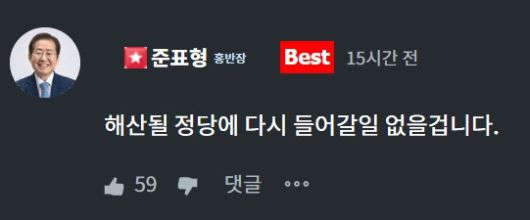 지난 21일 홍준표 전 시장이 '청년의 꿈'에 올라온 한 누리꾼 게시글에 남긴 답변. 〈사진='청년의 꿈' 캡처〉