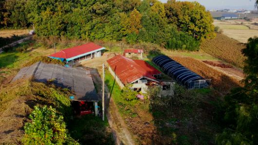 〈 사진 = JTBC 보도화면 캡처 〉