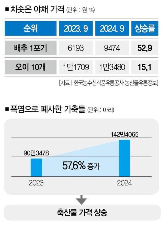 더스쿠프