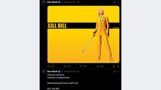 일론 머스크 테슬라 CEO가 트럼프 행정부의 감세법안을 맹비난했다.[사진｜머스크 SNS 갈무리]