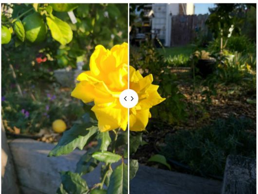 갤럭시 S20+(좌) 마이크로소프트 서피스 듀오 2(우) ⓒ Mark Hachman / IDG