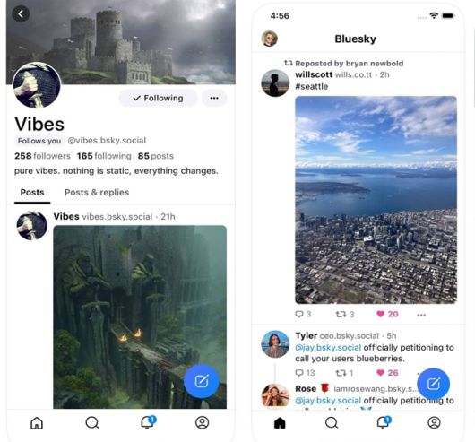 블루스카이의 프로필 페이지와 타임라인 구성. 트위터와 매우 흡사하다. ⓒ Bluesky Social
