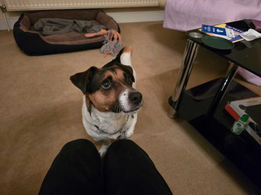 ⓒ Dominik Tomaszewski/Foundry