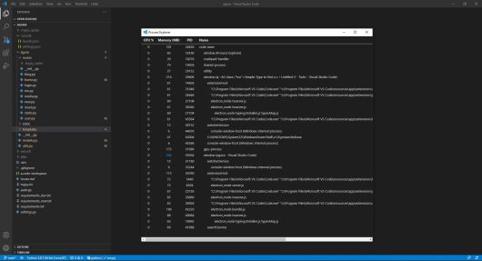 VS 코드의 프로세스 탐색기에서 애플리케이션의 확장 프로그램을 포함해 실행 중인 모든 프로세스를 볼 수 있다. ⓒ Foundry