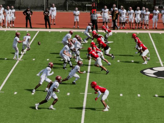 아이폰 17 프로 맥스 망원 카메라 – 100mm, ƒ2.8; ISO 20, 200mm, 노출 보정 0, ƒ2.8, 1/631초, 약 110야드 거리에서 RAW 촬영.Foundry