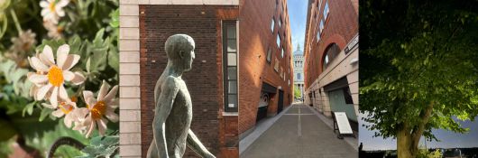 아이폰 17로 촬영한 사진David Price / Foundry