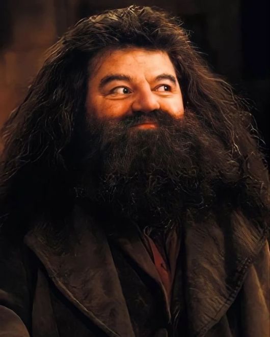 /사진=다니엘 래드클리프 인스타그램