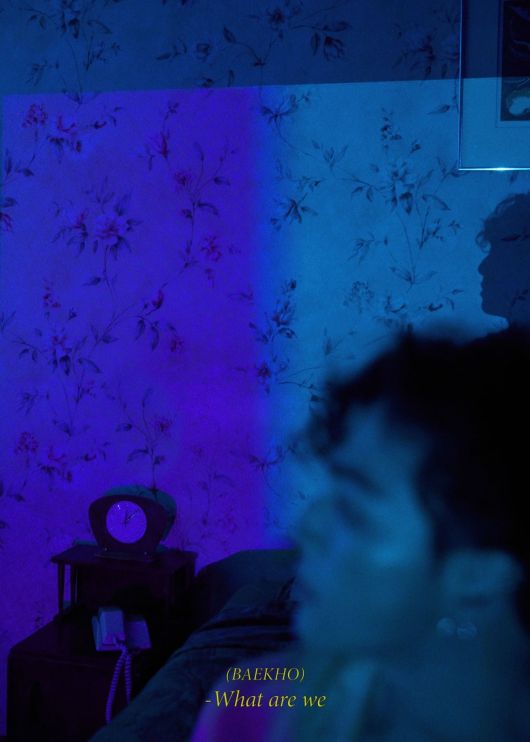 / 사진제공=플레디스엔터테인먼트