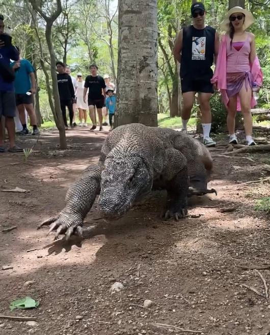 텐아시아