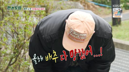 텐아시아
