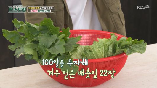 텐아시아