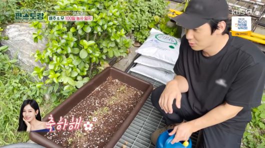 텐아시아