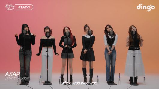 사진 제공 = 딩고