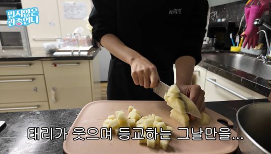 사진=유튜브 채널 '밉지않은 관종언니' 캡처