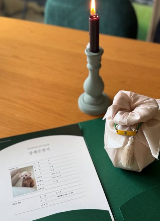 사진=신다은 SNS