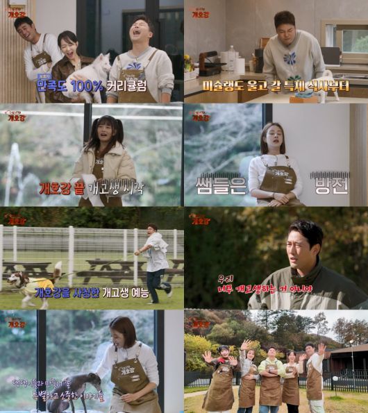 (사진 제공 = JTBC '집 나가면 개호강')