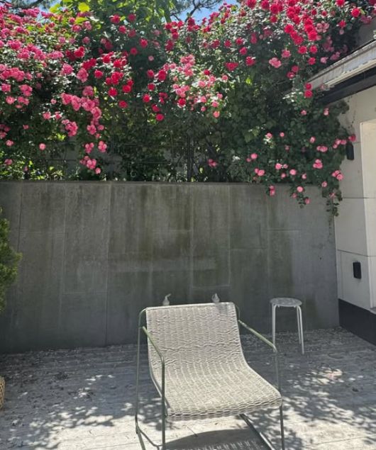 사진=엄정화 SNS