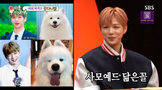 사진=SBS '미운 우리 새끼'