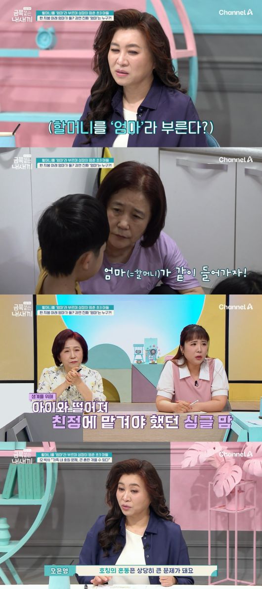 채널A '요즘 육아 – 금쪽같은 내새끼'