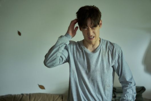 사진제공=쇼박스, 더램프