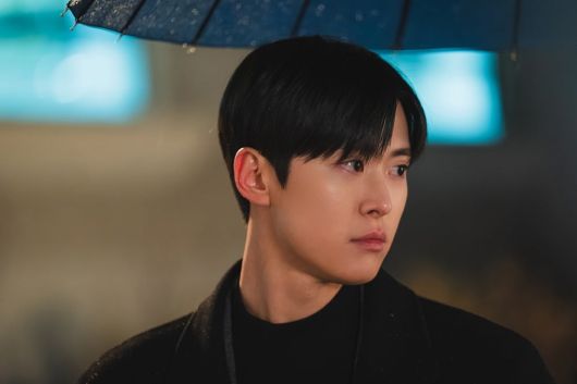 사진=사람엔터테인먼트, tvN