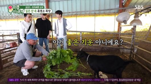 사진=SBS '미운우리새끼'