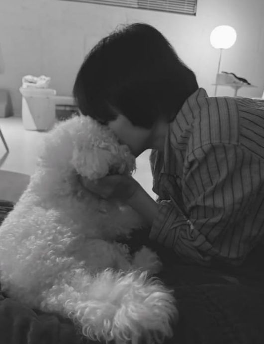 사진=송혜교 SNS